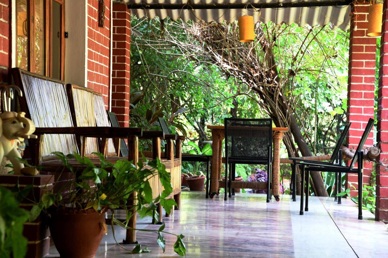 Baaz Jungle Resort Khawāsa Εξωτερικό φωτογραφία