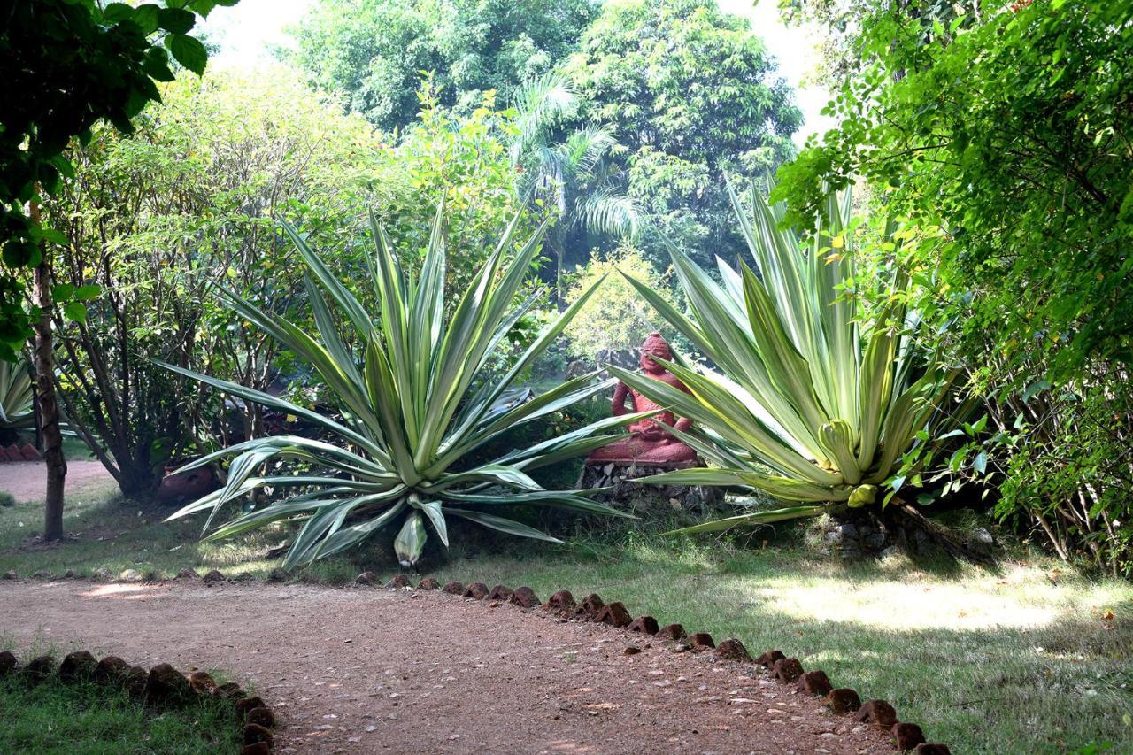 Baaz Jungle Resort Khawāsa Εξωτερικό φωτογραφία