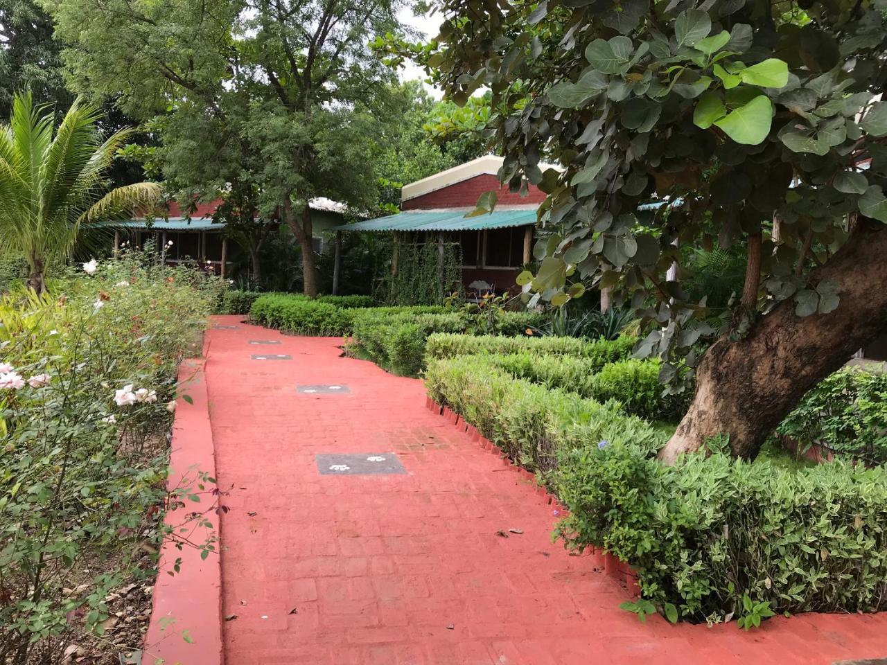 Baaz Jungle Resort Khawāsa Εξωτερικό φωτογραφία