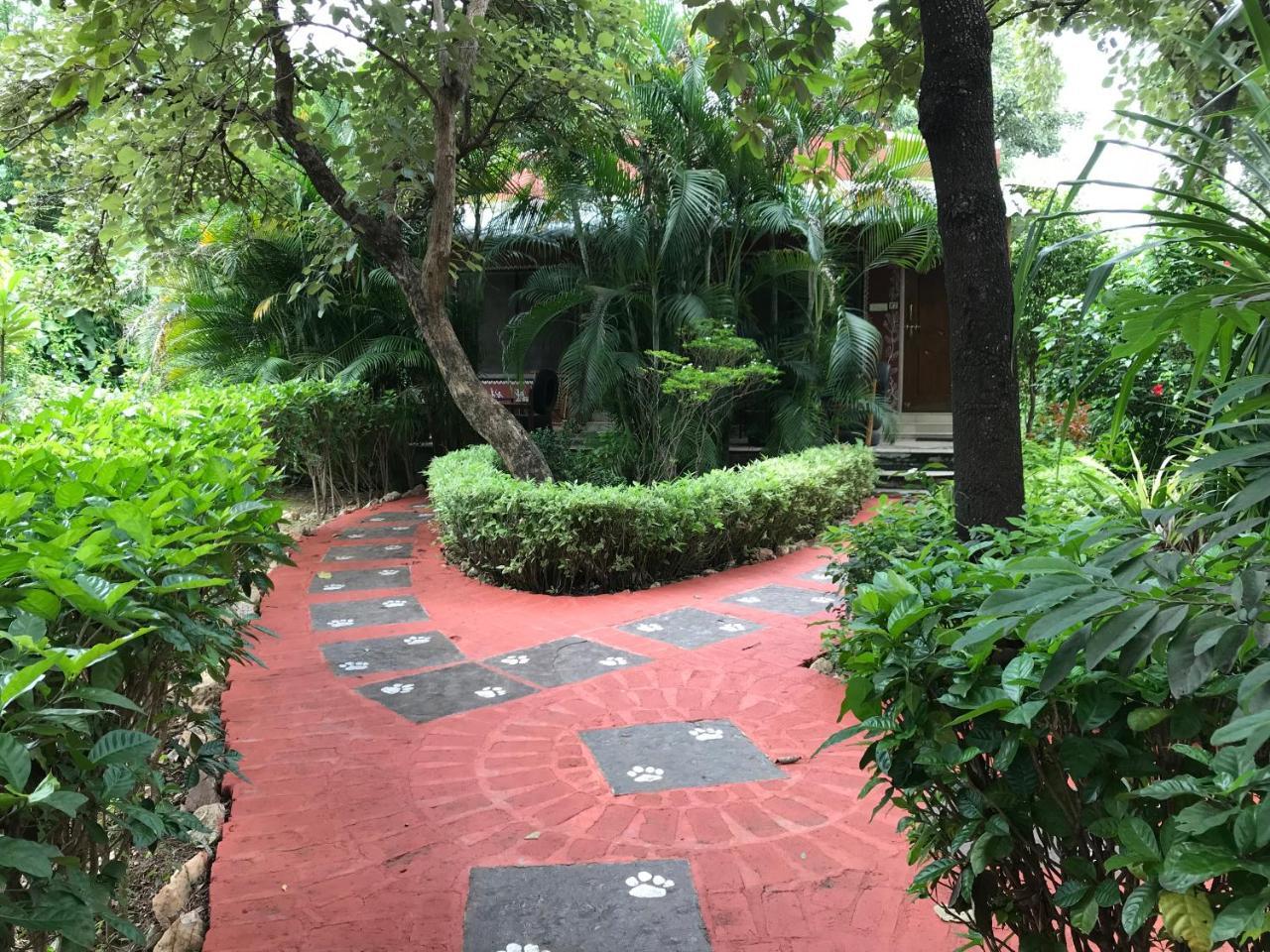 Baaz Jungle Resort Khawāsa Εξωτερικό φωτογραφία