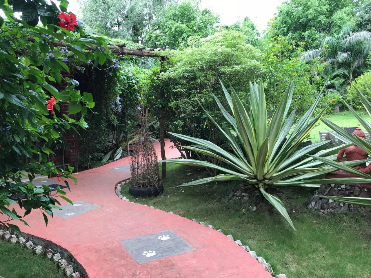Baaz Jungle Resort Khawāsa Εξωτερικό φωτογραφία