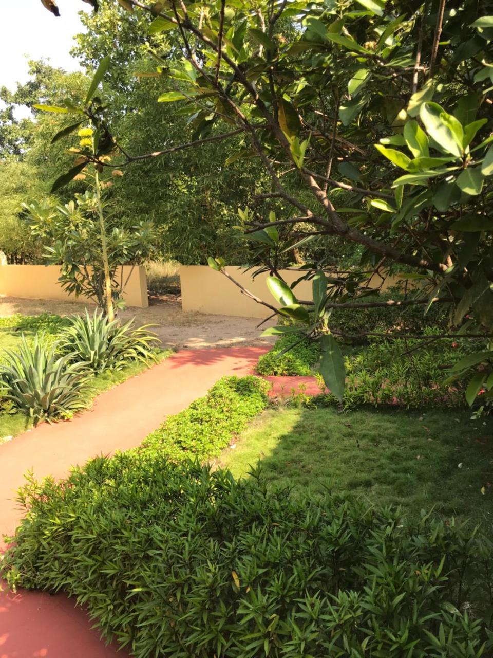 Baaz Jungle Resort Khawāsa Εξωτερικό φωτογραφία